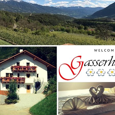 Gasserhof Aicha Natz-Schabs Экстерьер фото